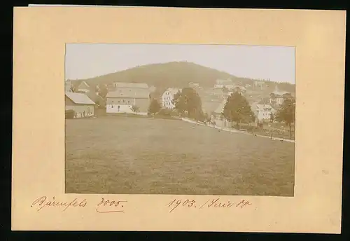 Fotografie Brück & Sohn Meissen, Ansicht Bärenfels, Blick auf Scharfes Gasthof mit Ortspanorama