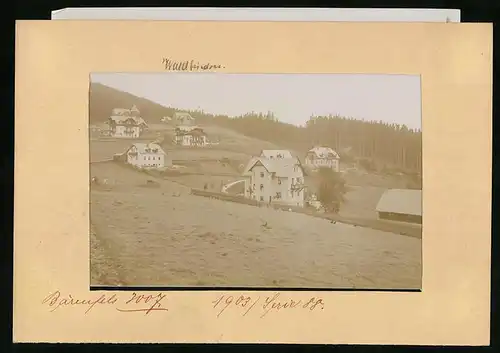 Fotografie Brück & Sohn Meissen, Ansicht Bärenfels, Blick auf die Häuser Waldfrieden, St. Hubertus und Missnia
