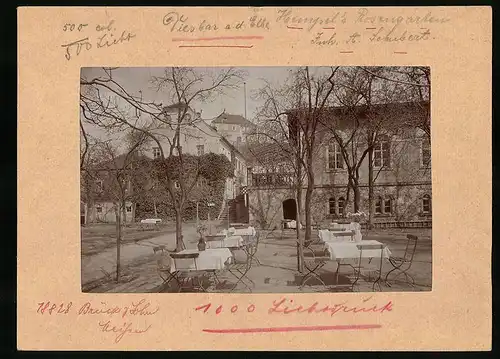 Fotografie Brück & Sohn Meissen, Ansicht Diesbar a. d. Elbe, Gedeckte Tische im Restaurant Hempels Rosengarten