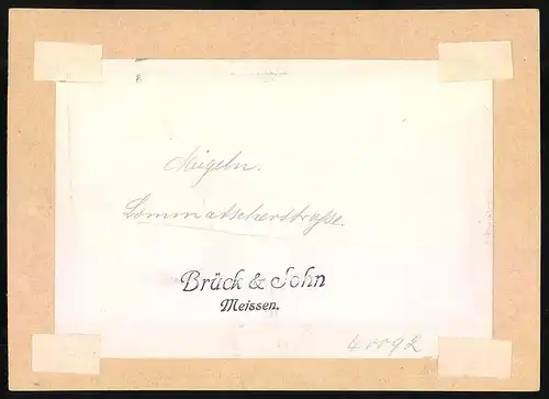 Fotografie Brück & Sohn Meissen, Ansicht Mügeln Bez. Leipzig, Lommatzscher Strasse, Restaurant zur guten Quelle, Schmied