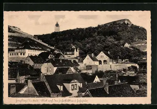 AK Freyburg a. U., Blick nach den Jahnstätten und Jahnheim