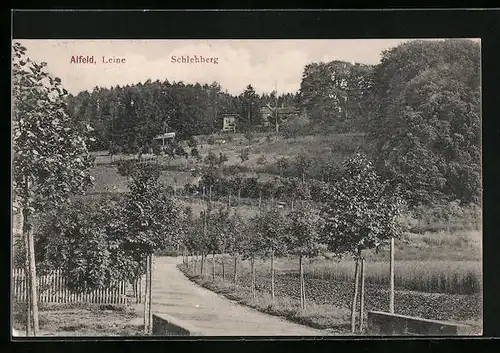 AK Alfeld /Leine, Schlehberg aus der Ferne