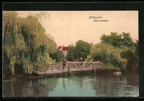 AK Mittweida, Trauerweiden am Schwanenteich