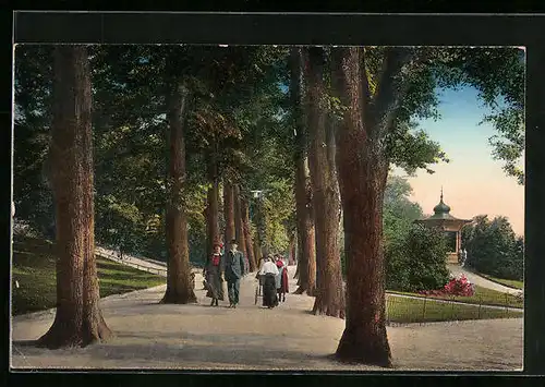 AK Freiberg /Sa., Im Albertpark