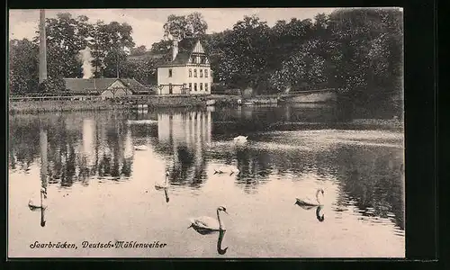 AK Saarbrücken, Deutsch-Mühlenweiher mit Schwänen