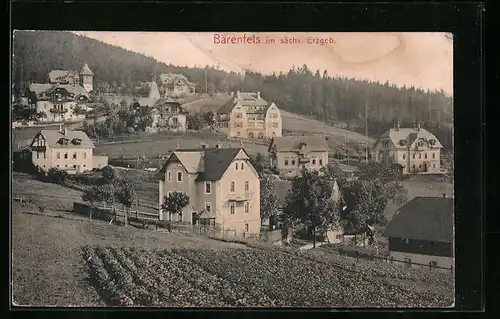 AK Bärenfels im sächs. Erzgeb., Ortspartie