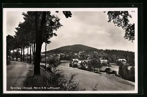 AK Bärenfels i. Erzgeb., Teilansicht mit Strassenpartie