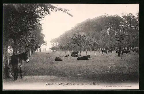 AK Saint-Pierrebrouck, Ferme du Weez