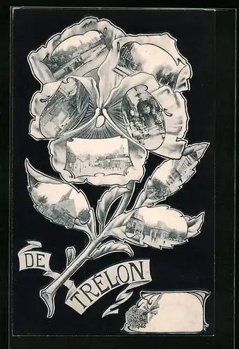 Blumengruss-AK Trélon, Teilansichten auf Stiefmütterchen