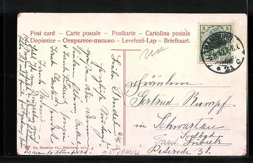 AK Hamburg-St. Pauli, Hafenpanorama mit Lotsenbooten