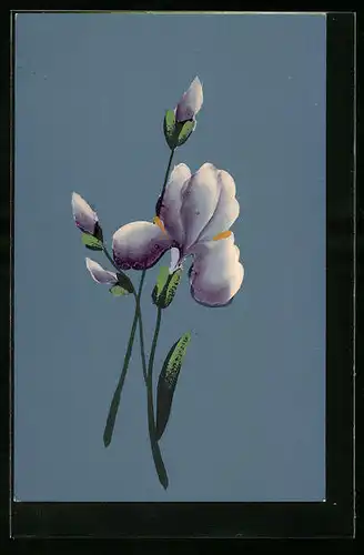 Künstler-AK Handgemalt: Wasserlilie mit Knospen, Schablonenmalerei