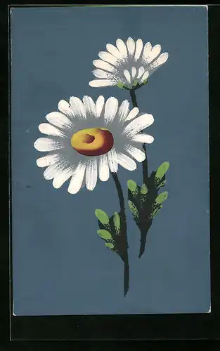 Künstler-AK Handgemalt: Margeriten in voller Blüte, Schablonenmalerei