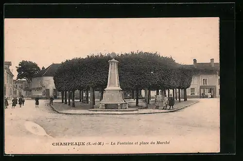 AK Champeaux, La Fontaine et place du Marché