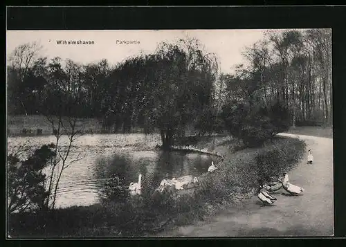AK Wilhelmshaven, Parkpartie mit Enten