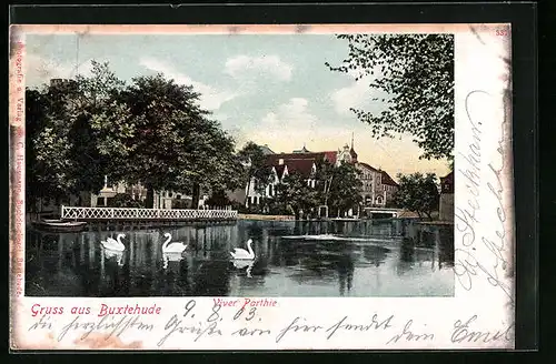AK Buxtehude, Viver-Partie