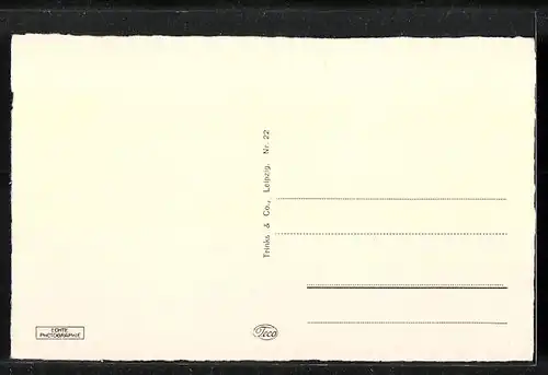 AK Dessau, Gestänge mit Schloss