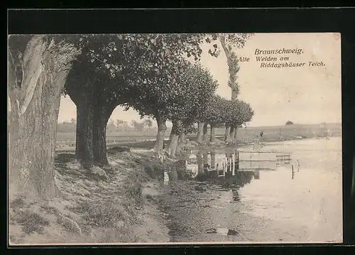 AK Braunschweig, Alte Weiden am Riddagshäuser Teich