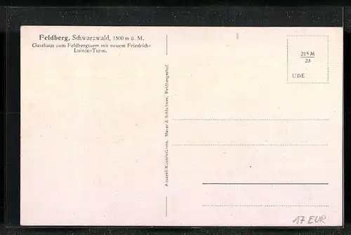 Künstler-AK Feldberg / Schwarzwald, Gasthaus zum Feldbergturm mit neuem Friedrich-Luisen-Turm