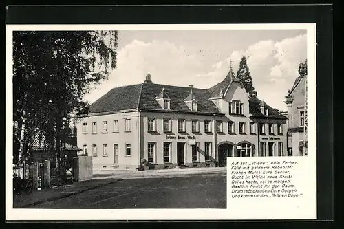 AK Offenburg, Gasthaus Grüner Baum