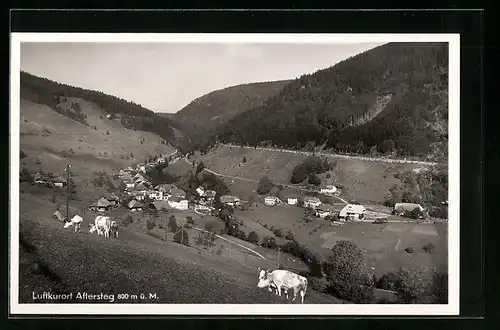 AK Aftersteg / Schwarzwald, Ortsansicht aus der Vogelschau