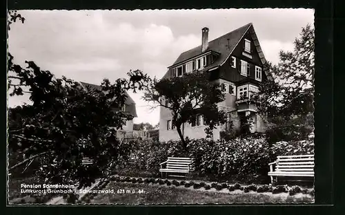 AK Grunbach / Schwarzwald, Hotel-Pension Sonnenheim