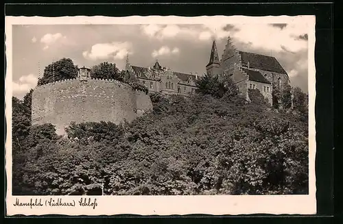 AK Mansfeld / Harz, Schloss