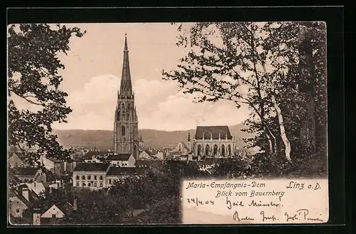 AK Linz a. Donau, Maria-Empfängnis-Dom, Blick vom Bauernberg