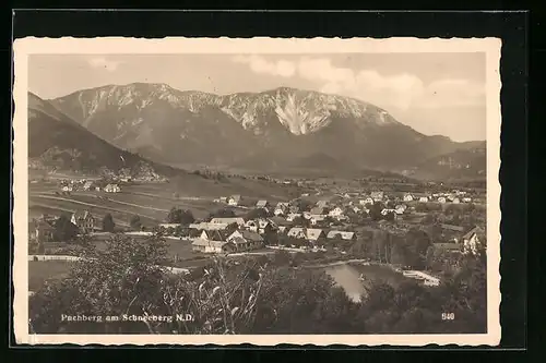 AK Puchberg am Schneeberg, Panorama
