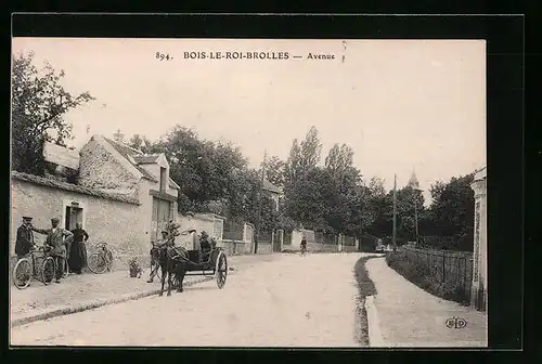 AK Bois-le-Roi-Brolles, Avenue