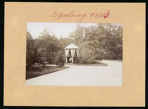 Fotografie Brück & Sohn Meissen, Ansicht Zitzschewig, Pavillon im Park des Frauen-Genesungsheim