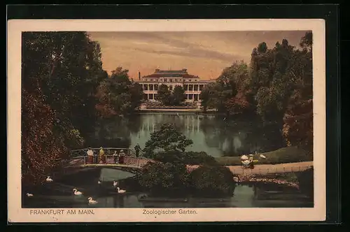 AK Frankfurt-Ostend, See im Zoologischen Garten