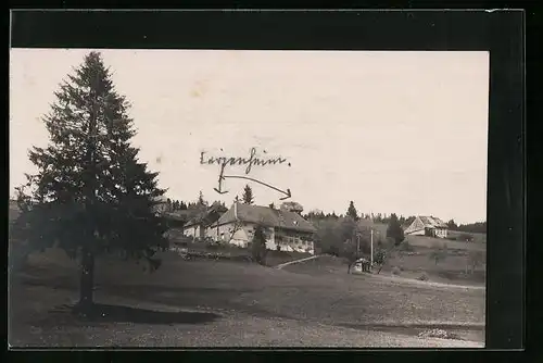 Foto-AK Falkau, Gasthaus z. Krone
