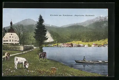 AK Kochel am See, Klösterle am Walchensee, Wiedende Kühe am Ufer