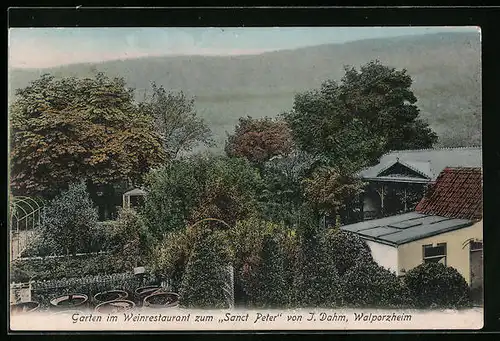 AK Walporzheim, Garten im Weinrestaurant zum Sanct Peter
