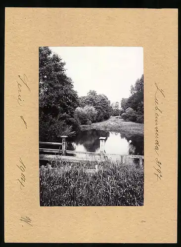 Fotografie Brück & Sohn Meissen, Ansicht Liebenwerda, Partie im Wäldchen mit Teich