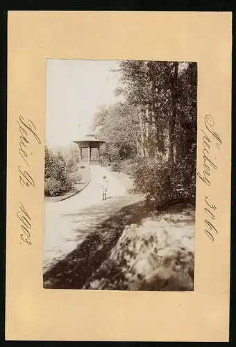 Fotografie Brück & Sohn Meissen, Ansicht Freiberg i. Sa., Partie im Park mit Pavillon