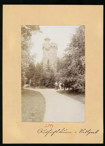 Fotografie Brück & Sohn Meissen, Ansicht Wurzen, Partie im Stadtpark mit Blick auf den Aussichtsturm