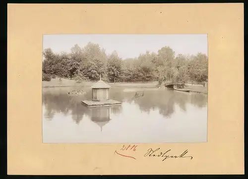 Fotografie Brück & Sohn Meissen, Ansicht Wurzen, Teichpartie im Stadtpark mit Entenhäuschen