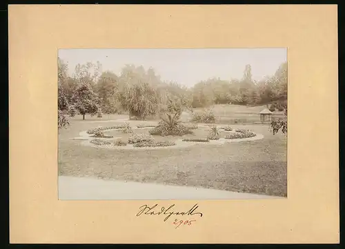 Fotografie Brück & Sohn Meissen, Ansicht Wurzen, Partie im Stadtpark mit Teich und Blumenbeet