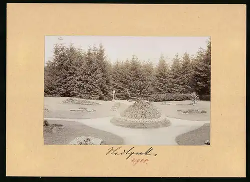 Fotografie Brück & Sohn Meissen, Ansicht Wurzen, Kaktus und Palmen im Stadtpark