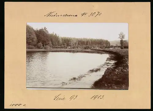 Fotografie Brück & Sohn Meissen, Ansicht Niederschöna, Blick auf den Rittergutsteich im Tharandter Wald