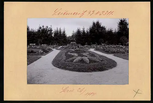 Fotografie Brück & Sohn Meissen, Ansicht Leitmeritz a. Elbe, Partie im Stadtpark mit schönen Beeten