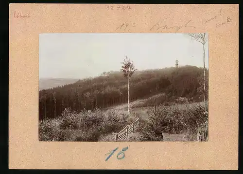 Fotografie Brück & Sohn Meissen, Ansicht Löbau i. Sa., Löbauer Berge mit Blick zum König-Friedrich-August-Turm