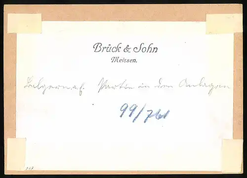 Fotografie Brück & Sohn Meissen, Ansicht Belgern a. Elbe, Partie in den Anlagen