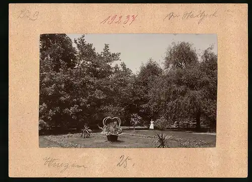 Fotografie Brück & Sohn Meissen, Ansicht Wurzen, Partie im Stadtpark mit Blumenkorb