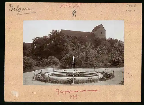 Fotografie Brück & Sohn Meissen, Ansicht Belgern, Springbrunnen in den Anlagen