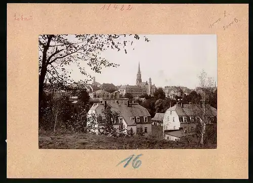 Fotografie Brück & Sohn Meissen, Ansicht Löbau i. Sa., Ortspanorama mit Blick zur Kirche