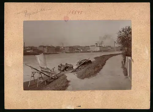 Fotografie Brück & Sohn Meissen, Ansicht Riesa a. Elbe, Blick über die Elbe zur Stadt mit Fischerbooten