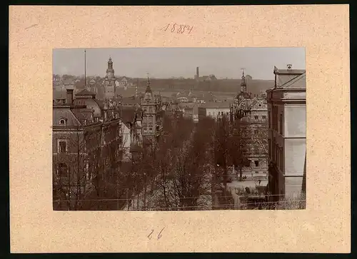 Fotografie Brück & Sohn Meissen, Ansicht Döbeln i. Sa., Blick auf die von Bäumen gesäte Königstrasse