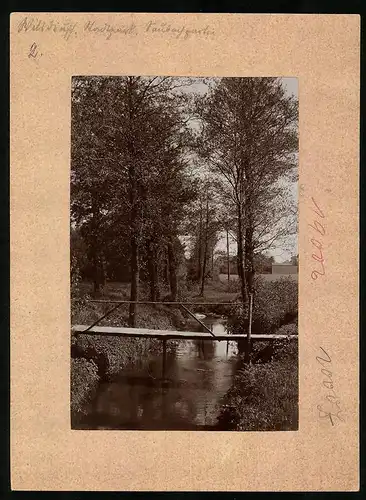 Fotografie Brück & Sohn Meissen, Ansicht Wilsdruff, Saubachpartie im Stadtpark